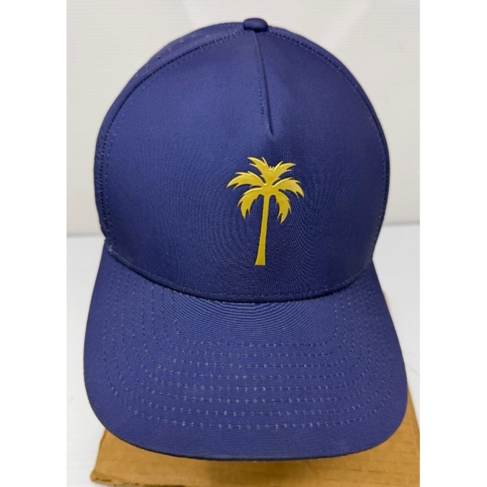 Alter Ego Running Coaster Snapback Hat Mens Blue Perforated Black Palm Tree Cap